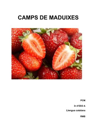 Camps De Maduixes + Pulsacions