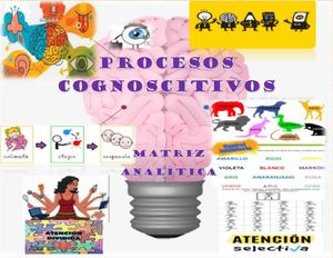 Procesos cognoscitivos, matriz analìtica