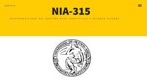NIA 315 - RESPONSABILIDAD DEL AUDITOR PARA IDENTIFICAR Y VALORAR RIESGOS