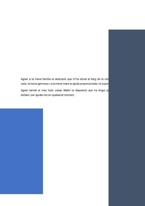 LA BOBINA DE TESLA, estudi i construcció d'una bobina de Tesla