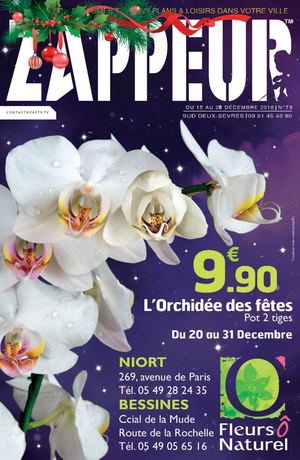 Le P'tit Zappeur - niort #78