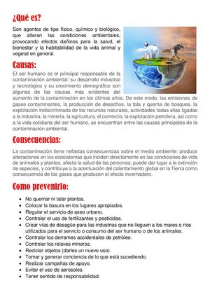 La Contaminación Ambiental