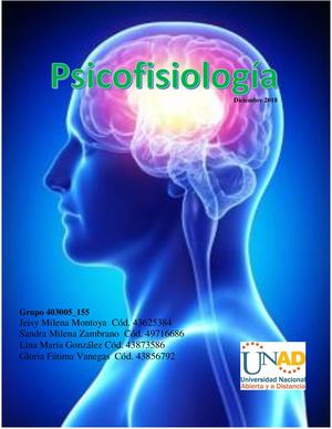 Revista Psicofisiologia Grupo 403005 155