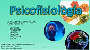 Revista Procesos Psicofisiologicos