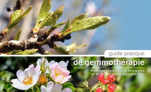 Guide Gemmotherapie dietaNat Inderplam