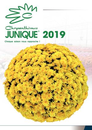 CATALOGUE JUNIQUE 2019