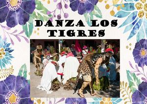 Danza Los Tigres
