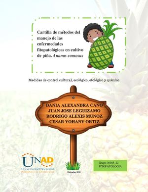 Cartilla Enfermedades En Cultivo De Piña Grupo 22