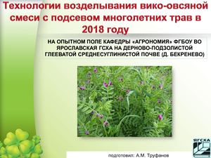 Вико овсяная смесь 2018 Бекренево