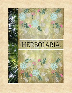 Mi E Book De Herbolaria Español E Inglés