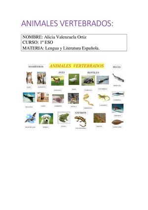 Animales Vertebrados Nuevo