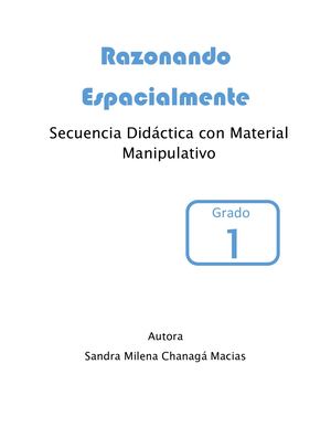 Razonando Espacialmente Grado 1°