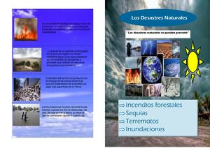 Publicación1