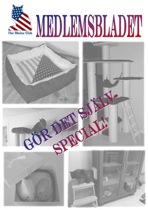 Medlemsbladet Gör Det Självspecial