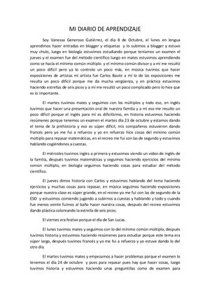 Mi Diario De Aprendizaje Pdf