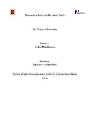 Aprendizajes Clave Mapas Mentales