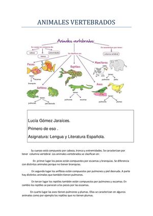 Animales Vertebradospdf