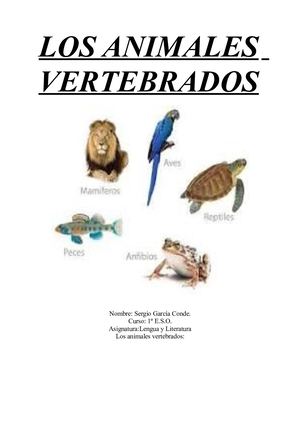 Los Animales Vertebrados