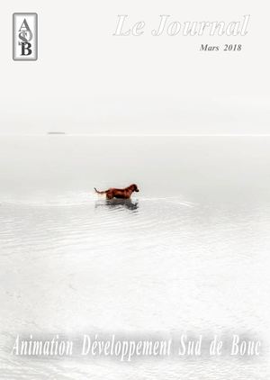 Journal Adsb Mars 2018