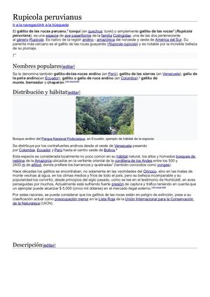 Gallito De Las Rocas