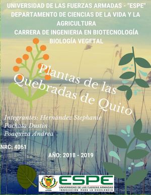 Hernández, Pachala Y Poaquiza Album Plantas De Las Quebradas De Quito Nrc4061