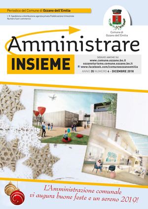 Amm Insieme N4 2018