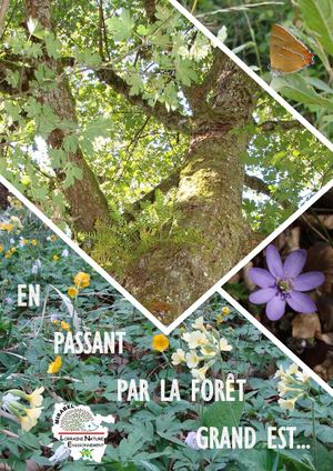 En Passant Par La Forêt Grand Est