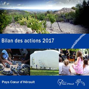 Bilan 2017 Sydel