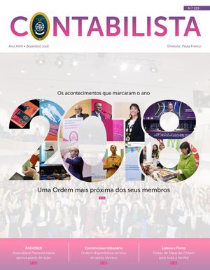 Contabilista 225