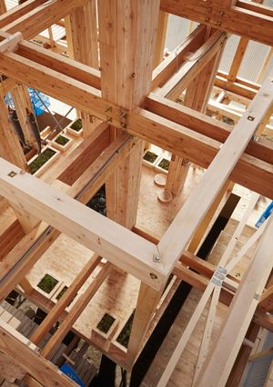 Обзорные башенные конструкции с использованием деревянного каркаса