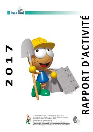 Rapport d'activité 2017