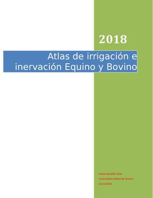 Atlas Irrigacion E Inervacion Equino Y Bovino