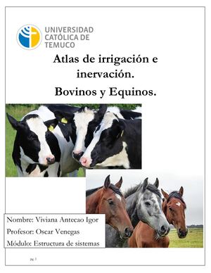 Atlas de Irrigación e Inervación, miembros anteriores y posteriores en bovino y equino.
