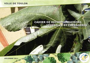 FORET / cahier De Recommandations Végétales Et Paysageres