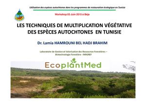 FORET / présentation Lamia Hamrouni