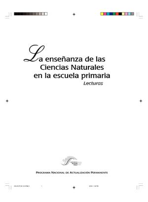 Las Ideas Previas La Experimentacion Y El Material Informativo