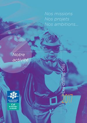 Rapport d'activité 2017