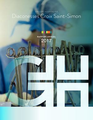 Rapport d'Activité 2017 GHDCSS