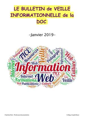 Bulletin De Veille de la doc -Janvier 2019-
