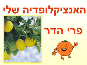 מצגת פרי הדר