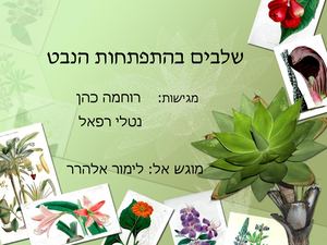 מצגת הנבטה