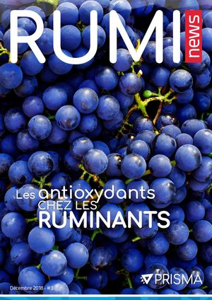 RUMINEWS #3 - Newsletter Service Ruminants PRISMA