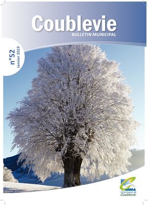 Bulletin janvier 2019