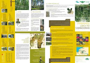 Carte de la forêt domaniale Bord-Louviers