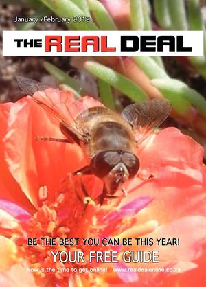 Real Deal January 2019