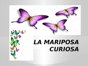 LA MARIPOSA CURIOSA