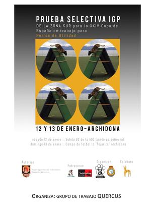 Prueba Selectiva IGP