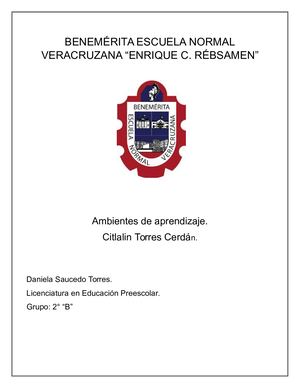 Ensayo  analítico y reflexivo