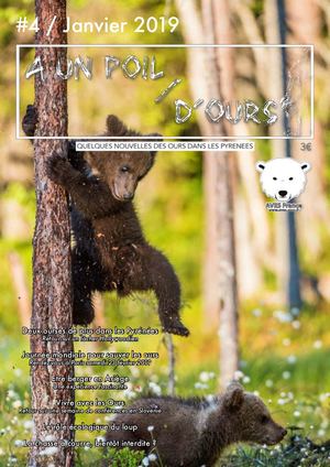 A un poil d'ours #4
