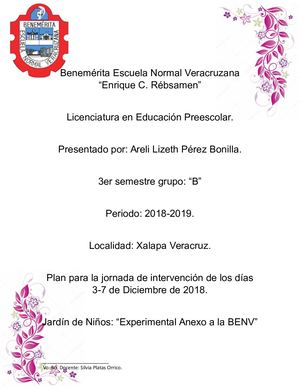 Plan De Intervencion Diciembre